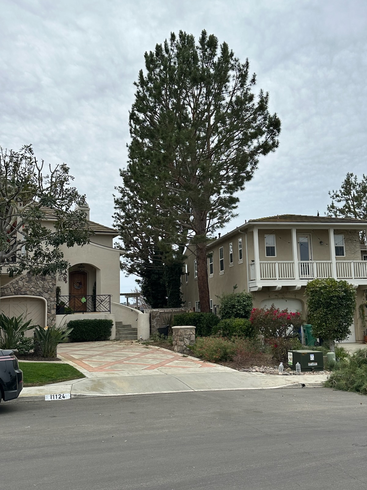 J Rojas Tree Services Image
